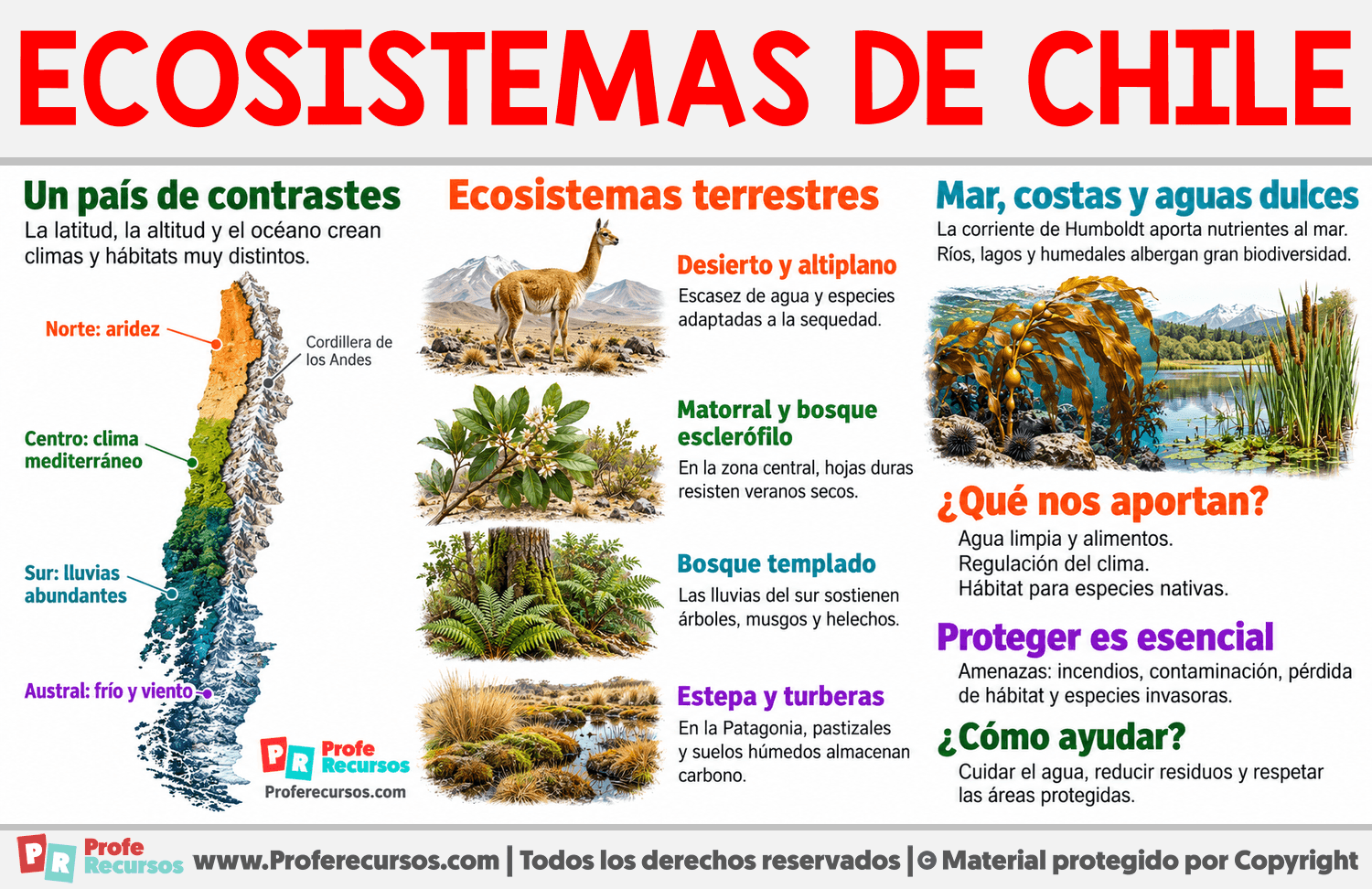 Ecosistemas de Chile Infografia sobre Ecosistemas de Chile