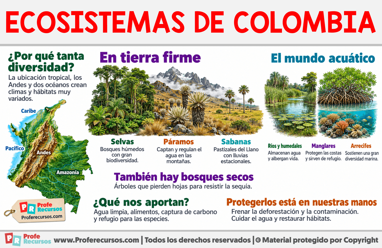 Ecosistemas de Colombia Infografia sobre Ecosistemas de Colombia