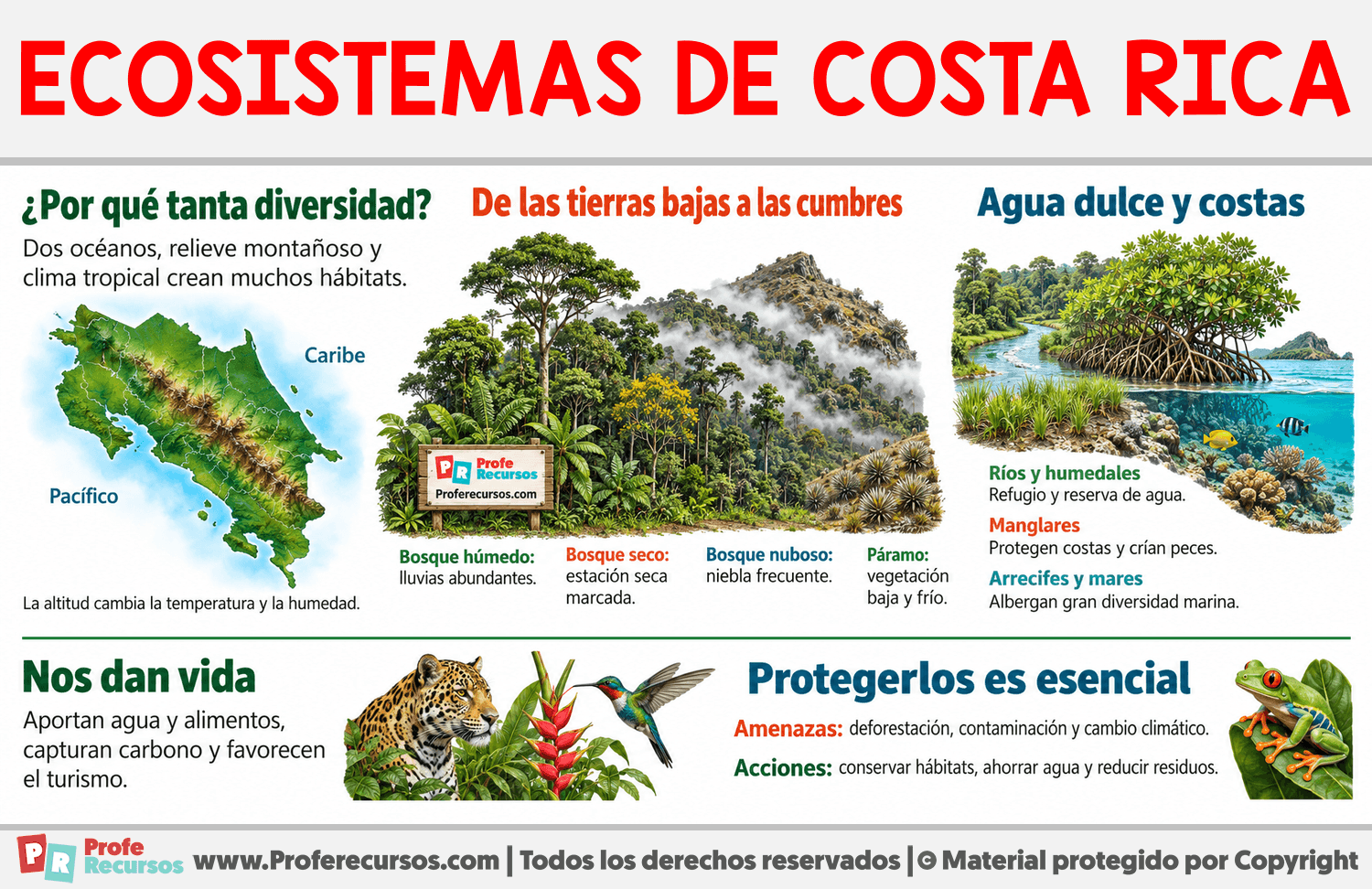 Ecosistemas de Costa Rica Infografia sobre Ecosistemas de Costa Rica