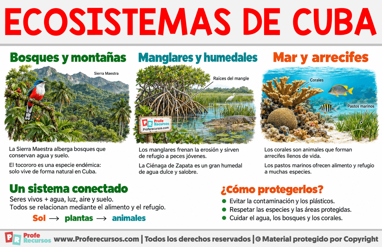 Ecosistemas de Cuba Infografia sobre Ecosistemas de Cuba
