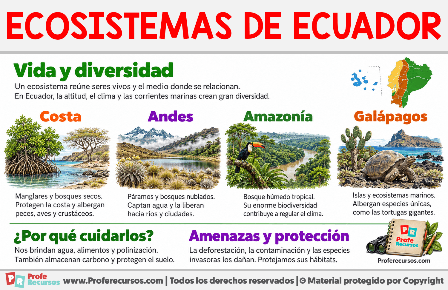 Ecosistemas de Ecuador Infografia sobre Ecosistemas de Ecuador