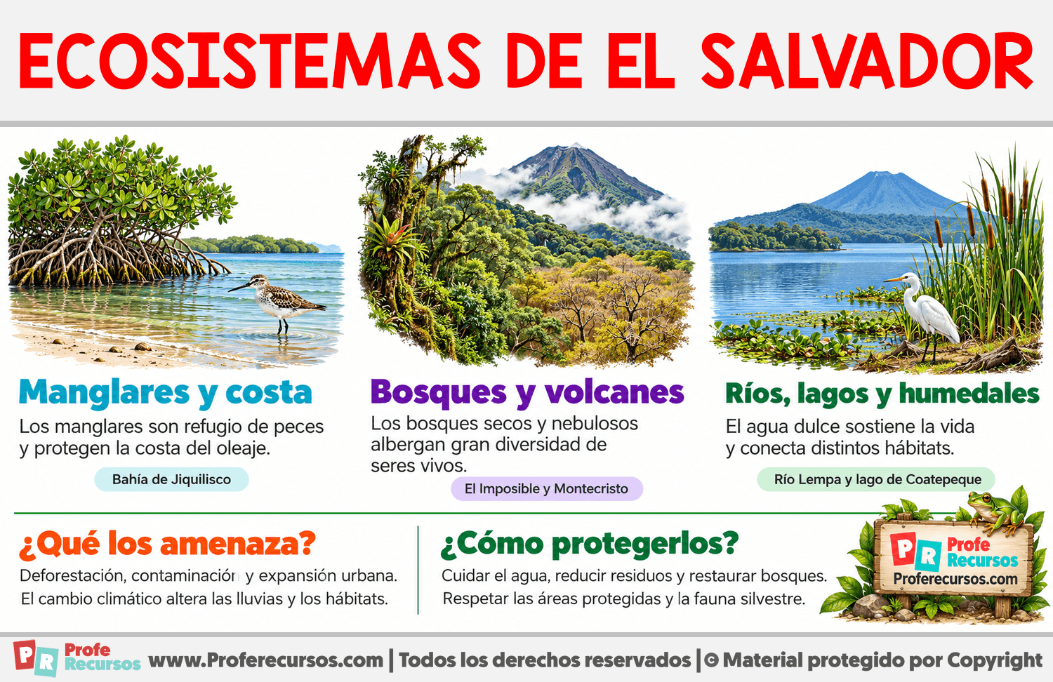 Ecosistemas de El Salvador Infografia sobre Ecosistemas de El Salvador