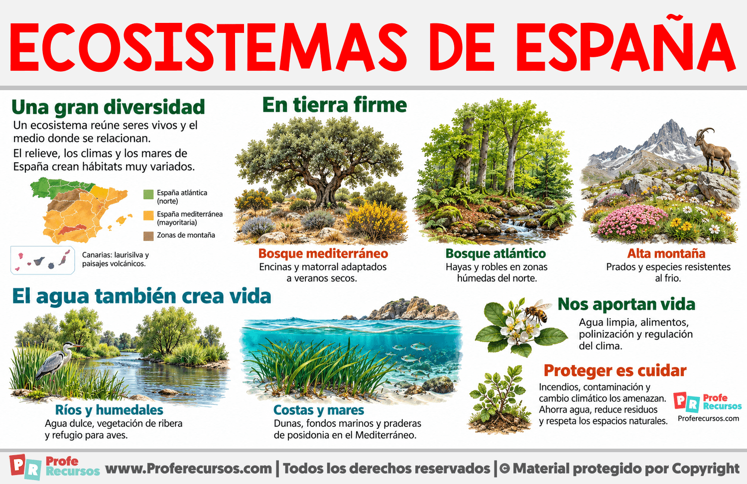 Ecosistemas de España Infografia sobre Ecosistemas de España