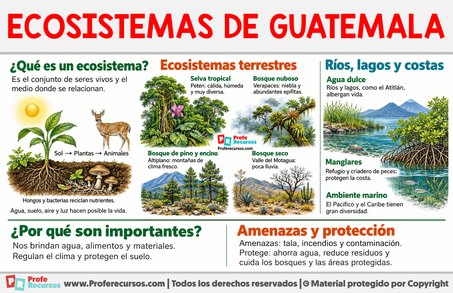 Ecosistemas de Guatemala Infografia sobre Ecosistemas de Guatemala