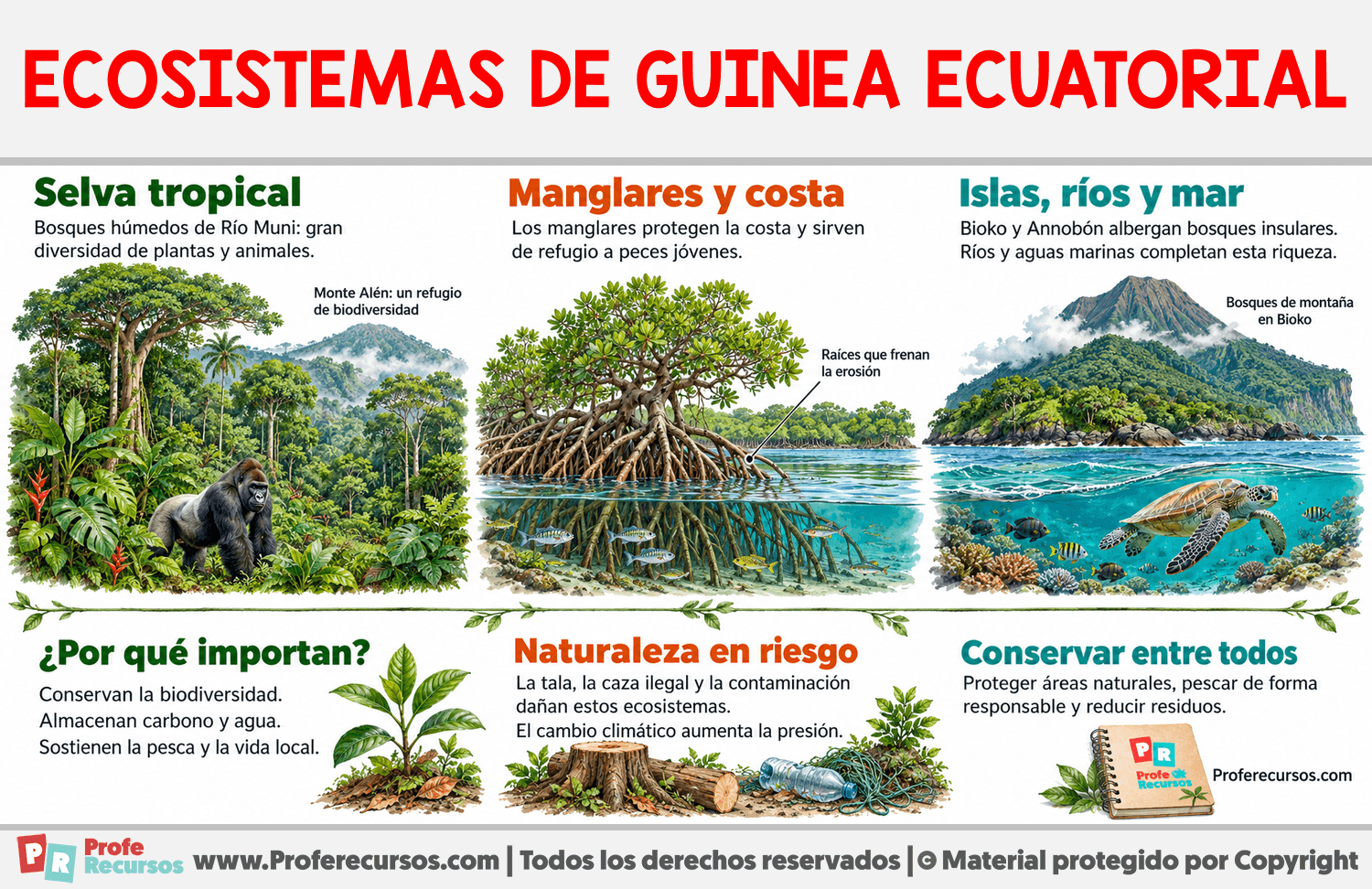 Ecosistemas de Guinea Ecuatorial Infografia sobre Ecosistemas de Guinea Ecuatorial
