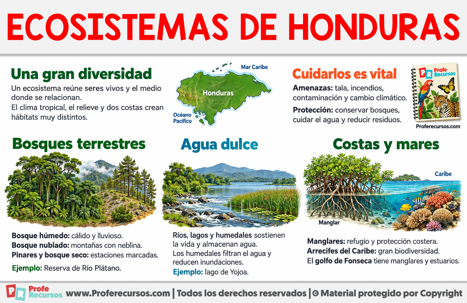 Ecosistemas de Honduras Infografia sobre Ecosistemas de Honduras