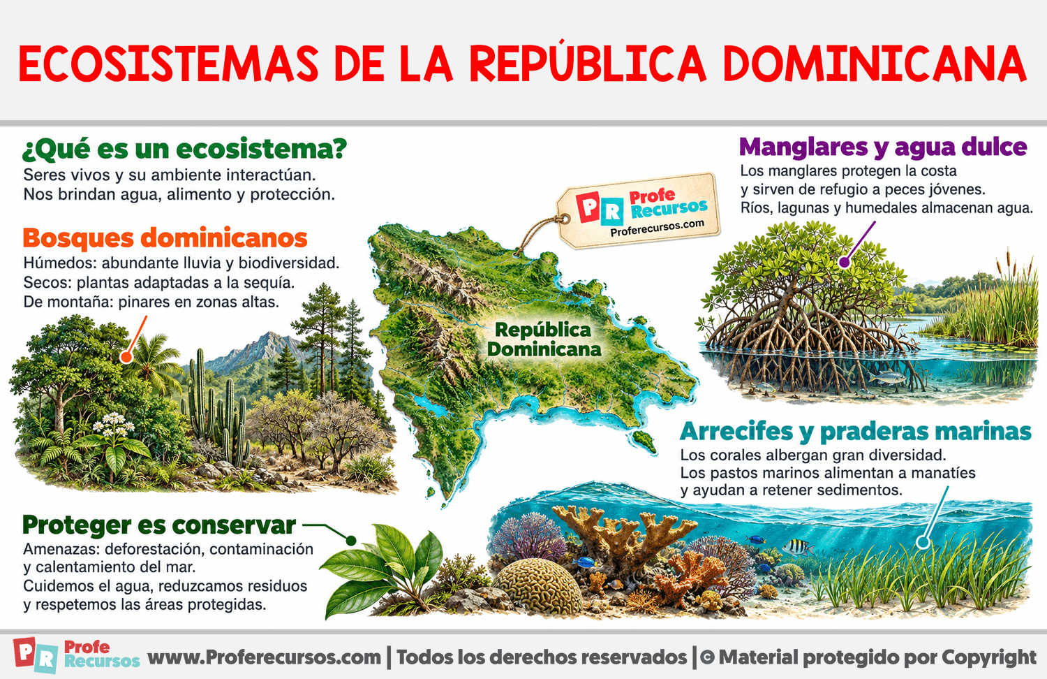 Ecosistemas de la República Dominicana Infografia sobre Ecosistemas de la República Dominicana