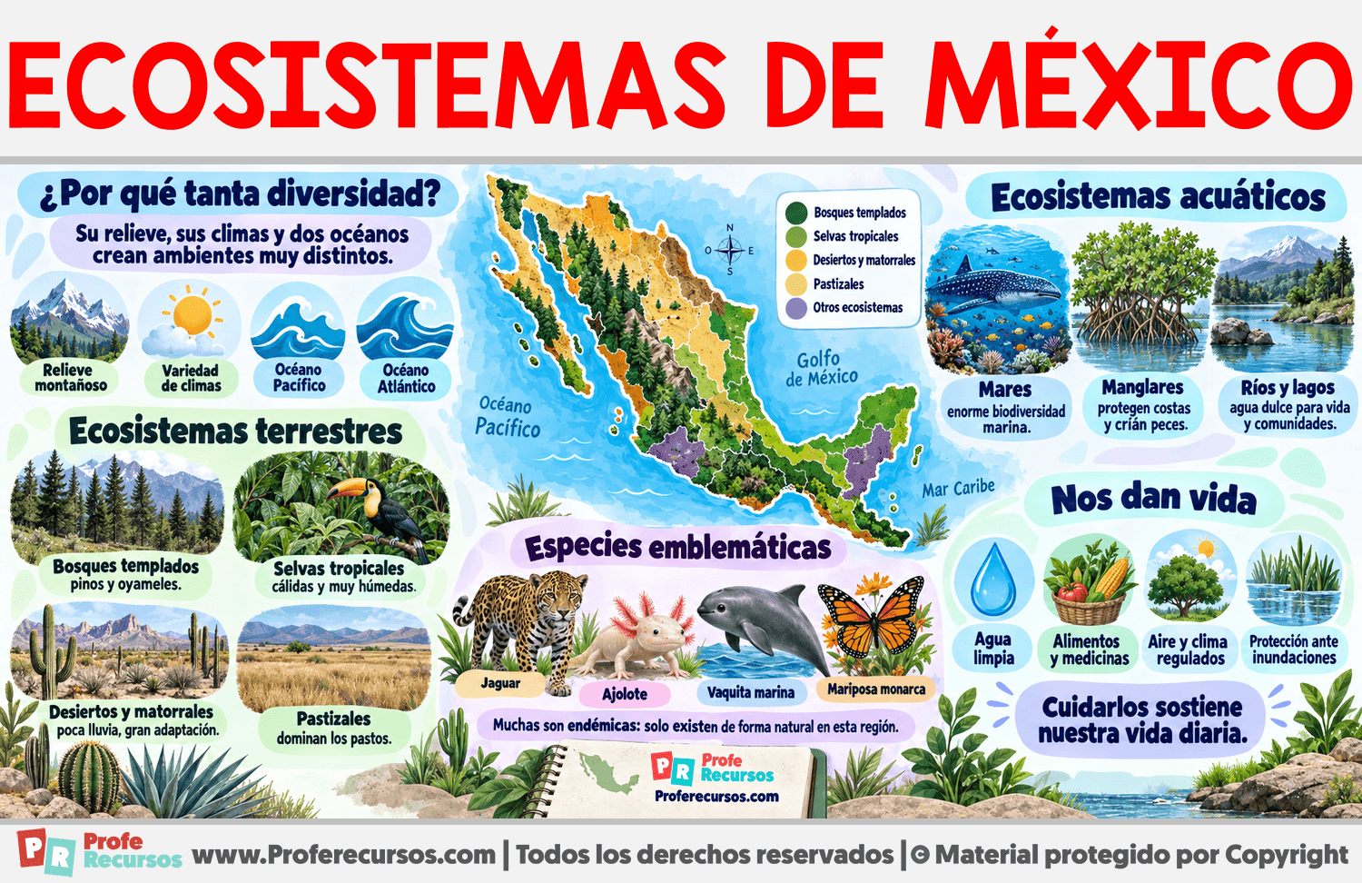 Ecosistemas de México Infografia sobre Ecosistemas de México