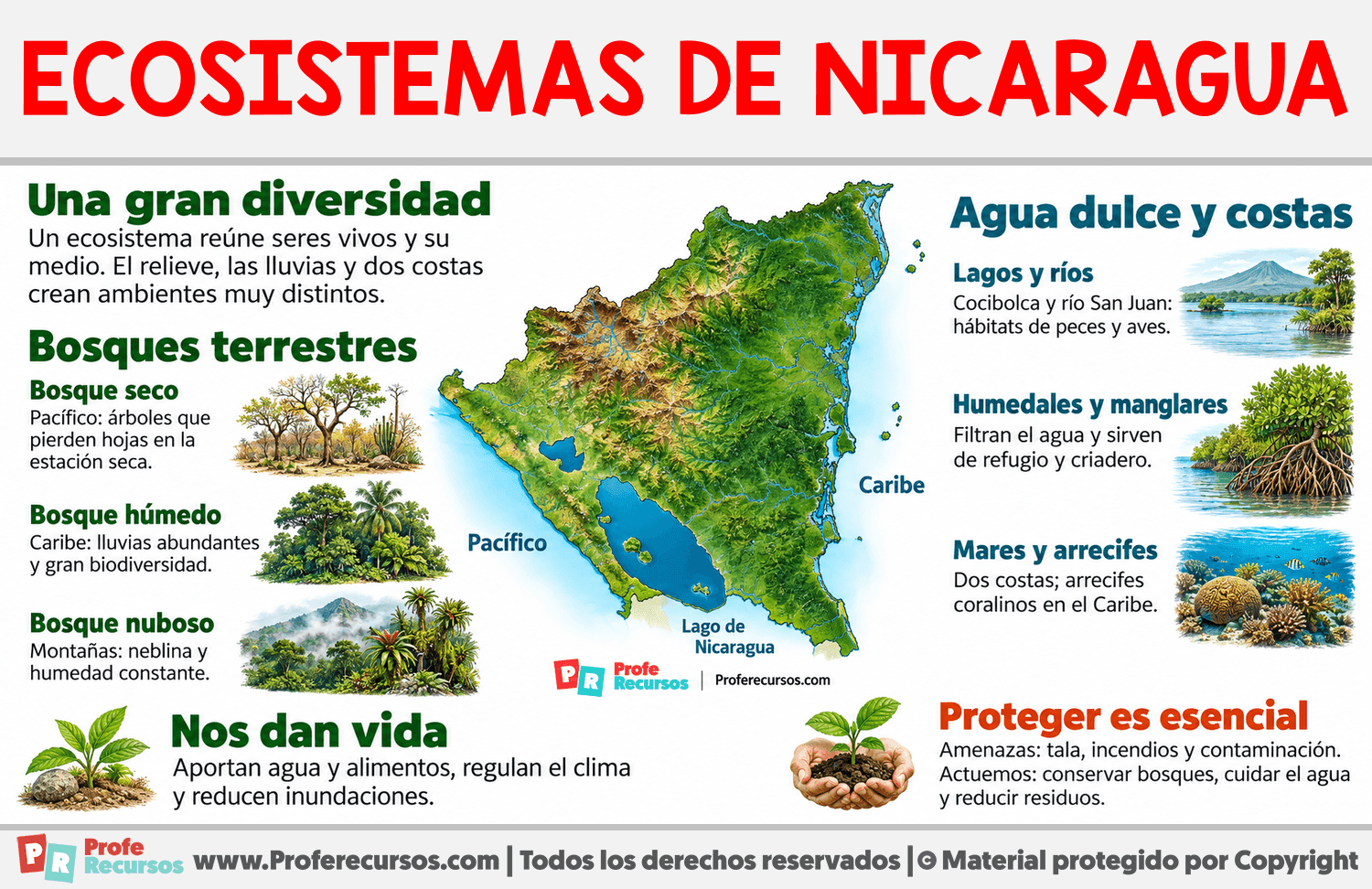 Ecosistemas de Nicaragua Infografia sobre Ecosistemas de Nicaragua