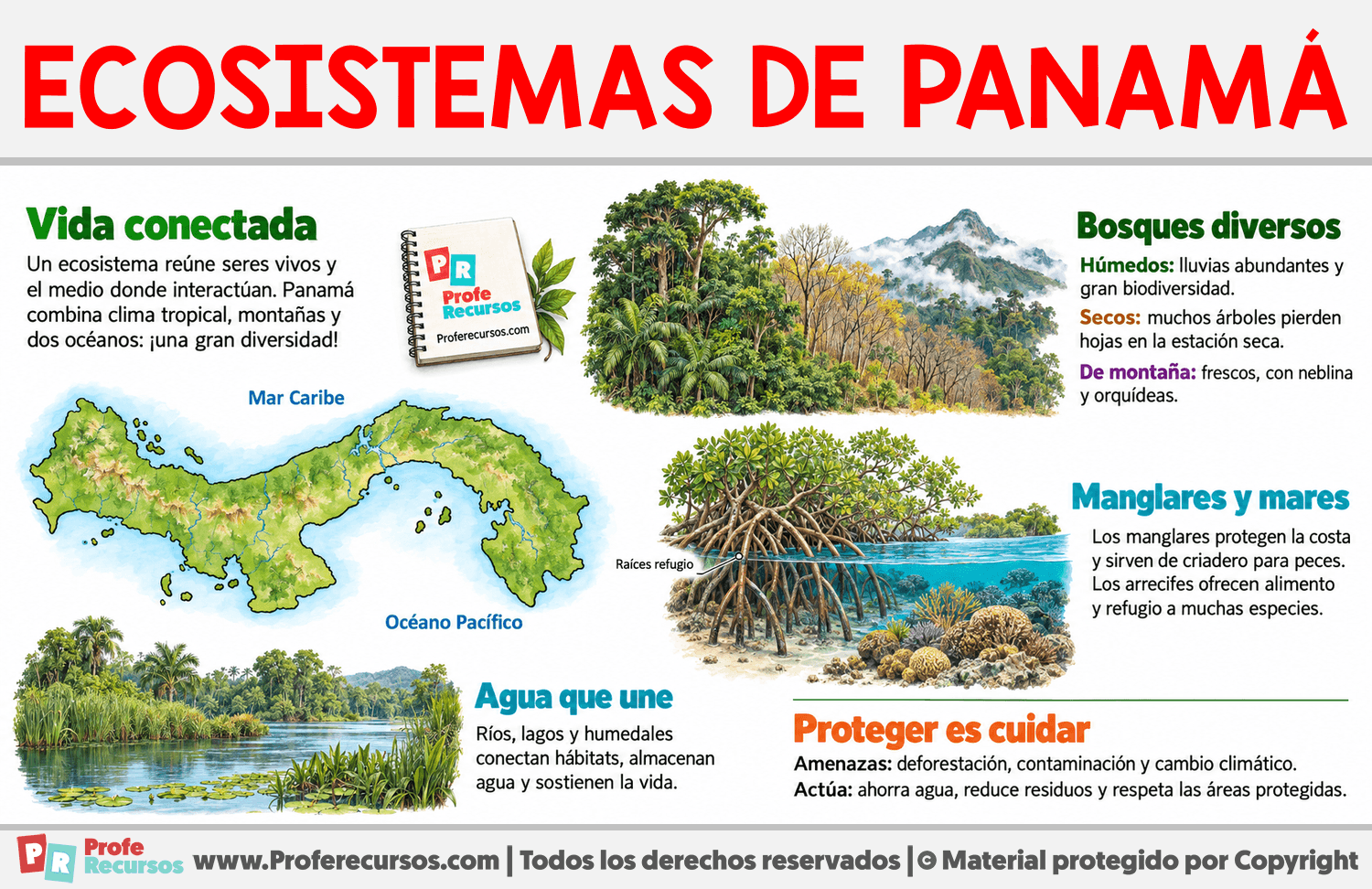 Ecosistemas de Panamá Infografia sobre Ecosistemas de Panamá
