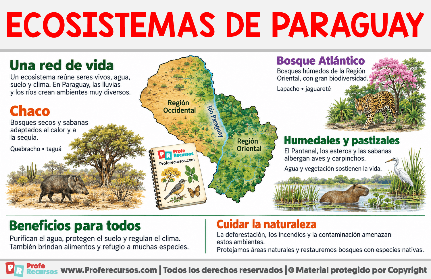 Ecosistemas de Paraguay Infografia sobre Ecosistemas de Paraguay