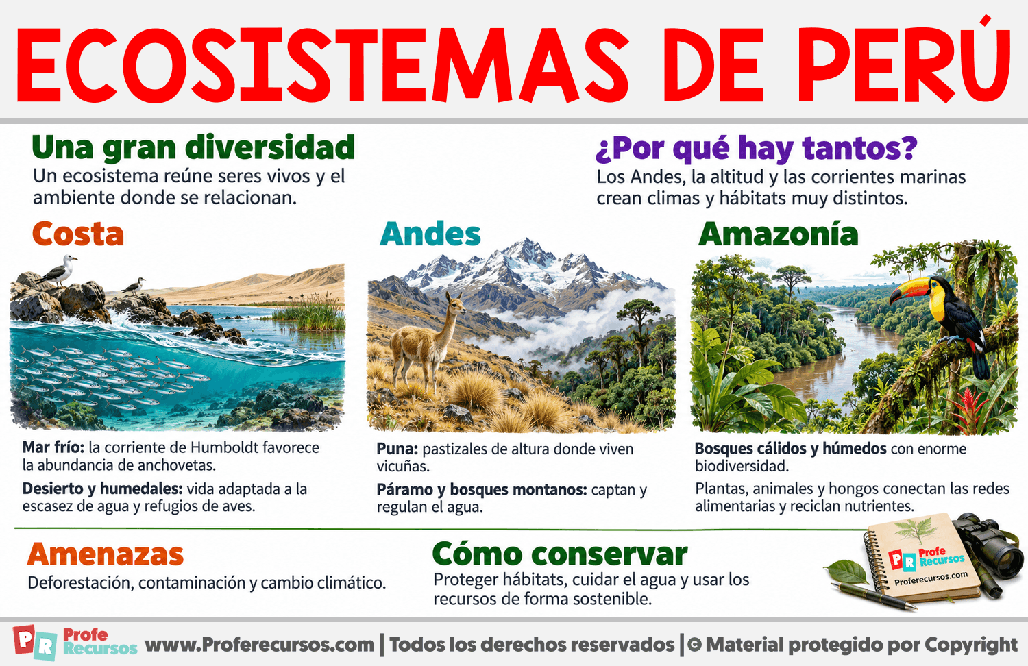 Ecosistemas de Perú Infografia sobre Ecosistemas de Perú