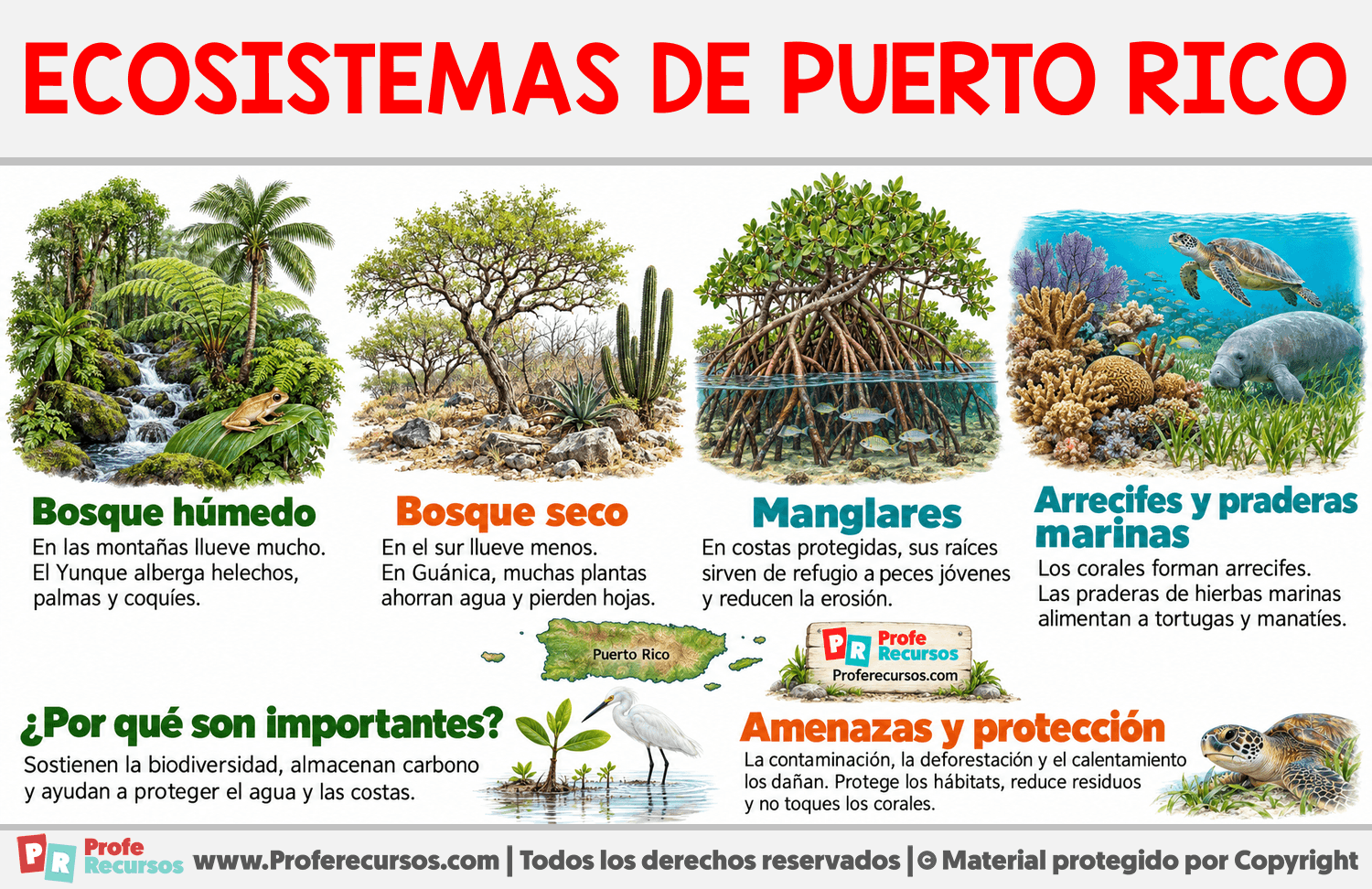 Ecosistemas de Puerto Rico Infografia sobre Ecosistemas de Puerto Rico