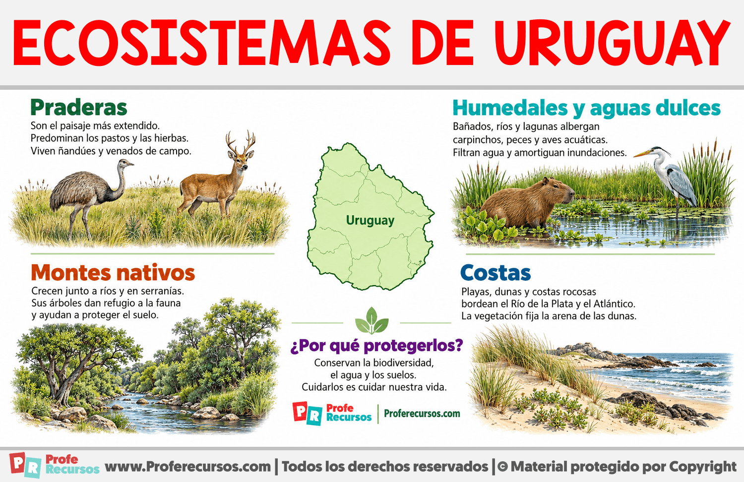 Ecosistemas de Uruguay Infografia sobre Ecosistemas de Uruguay