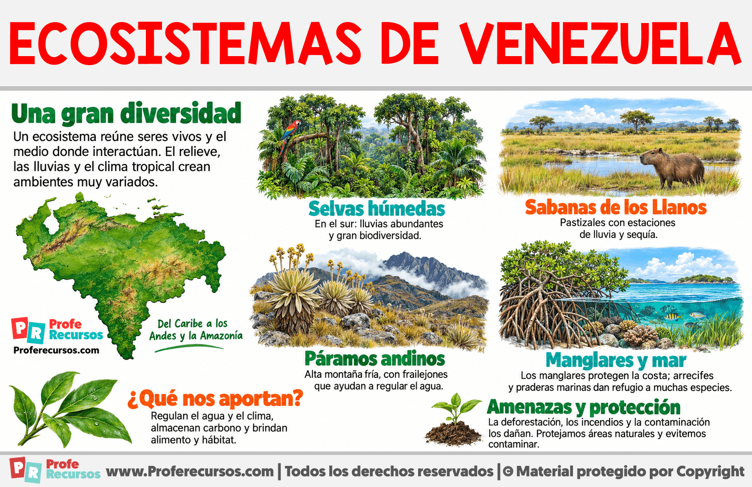 Ecosistemas de Venezuela Infografia sobre Ecosistemas de Venezuela