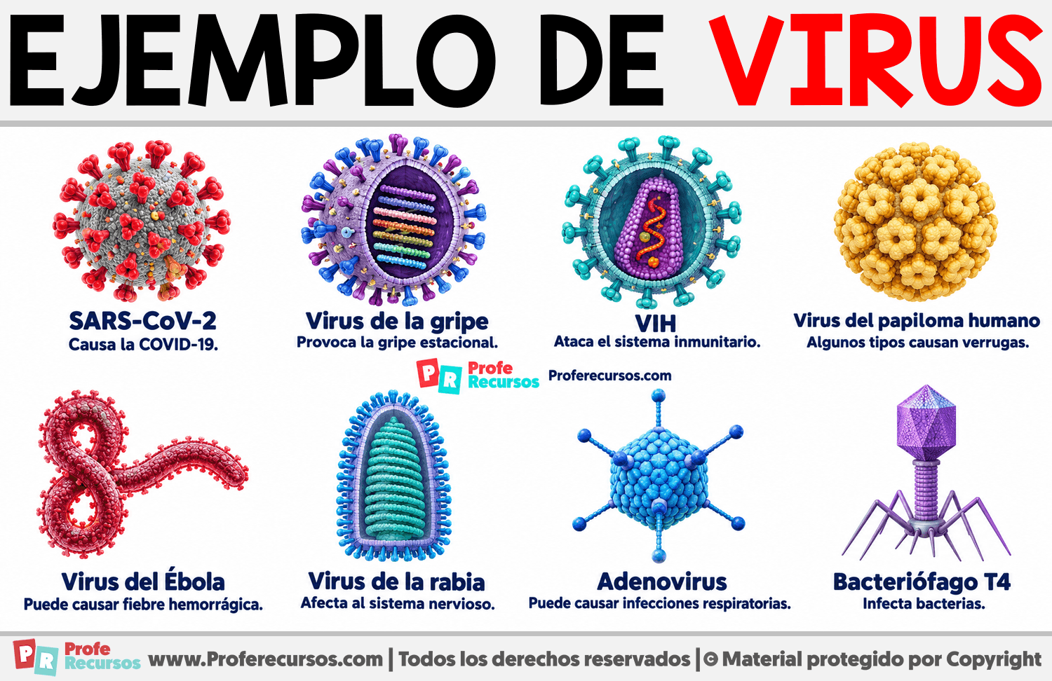 Ejemplo de Virus Infografia sobre Ejemplo de Virus