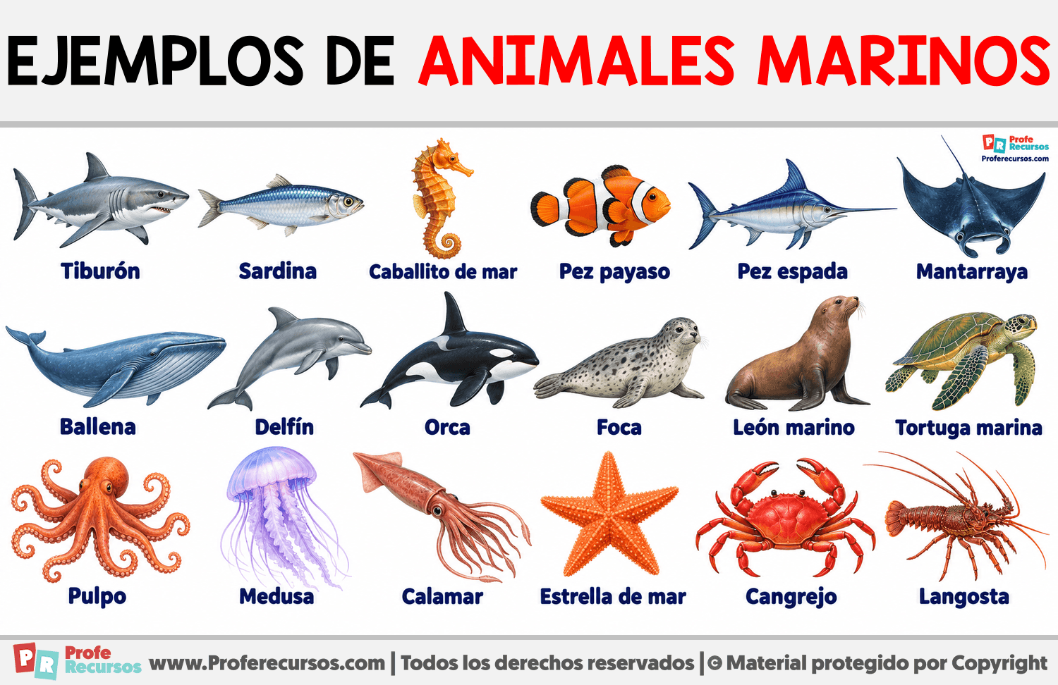 Ejemplos de Animales marinos Infografia sobre Ejemplos de Animales marinos