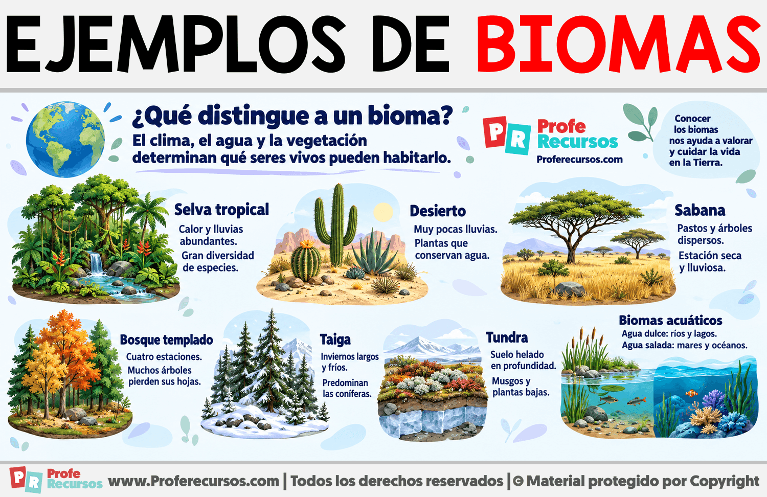 Ejemplos de Biomas Infografia sobre Ejemplos de Biomas