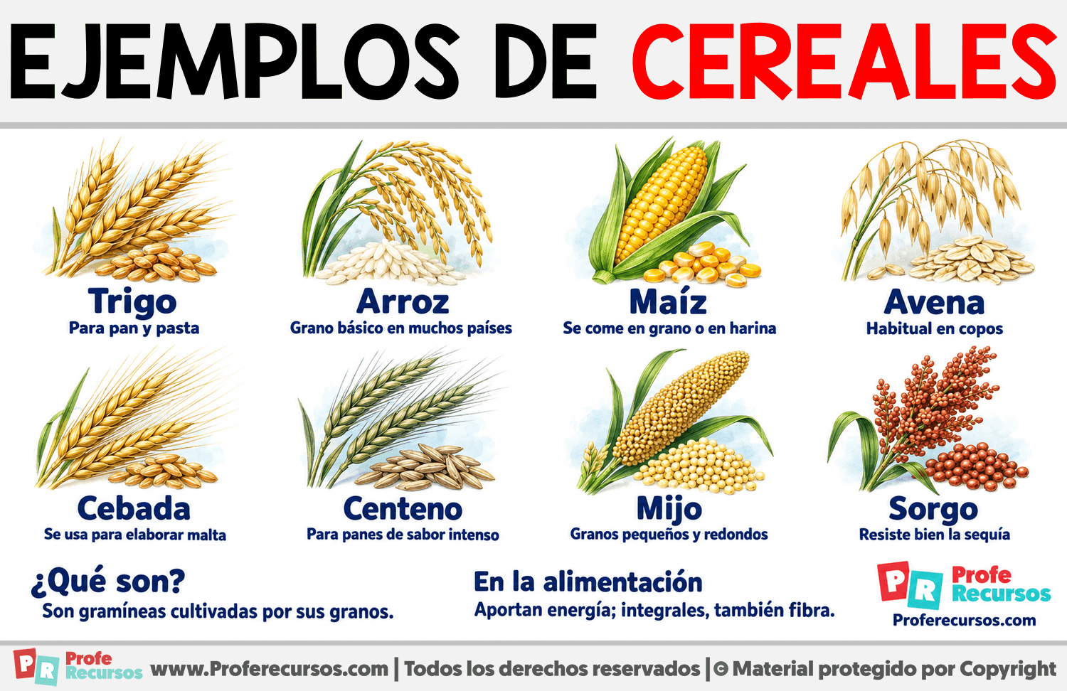 Ejemplos de Cereales Infografia sobre Ejemplos de Cereales
