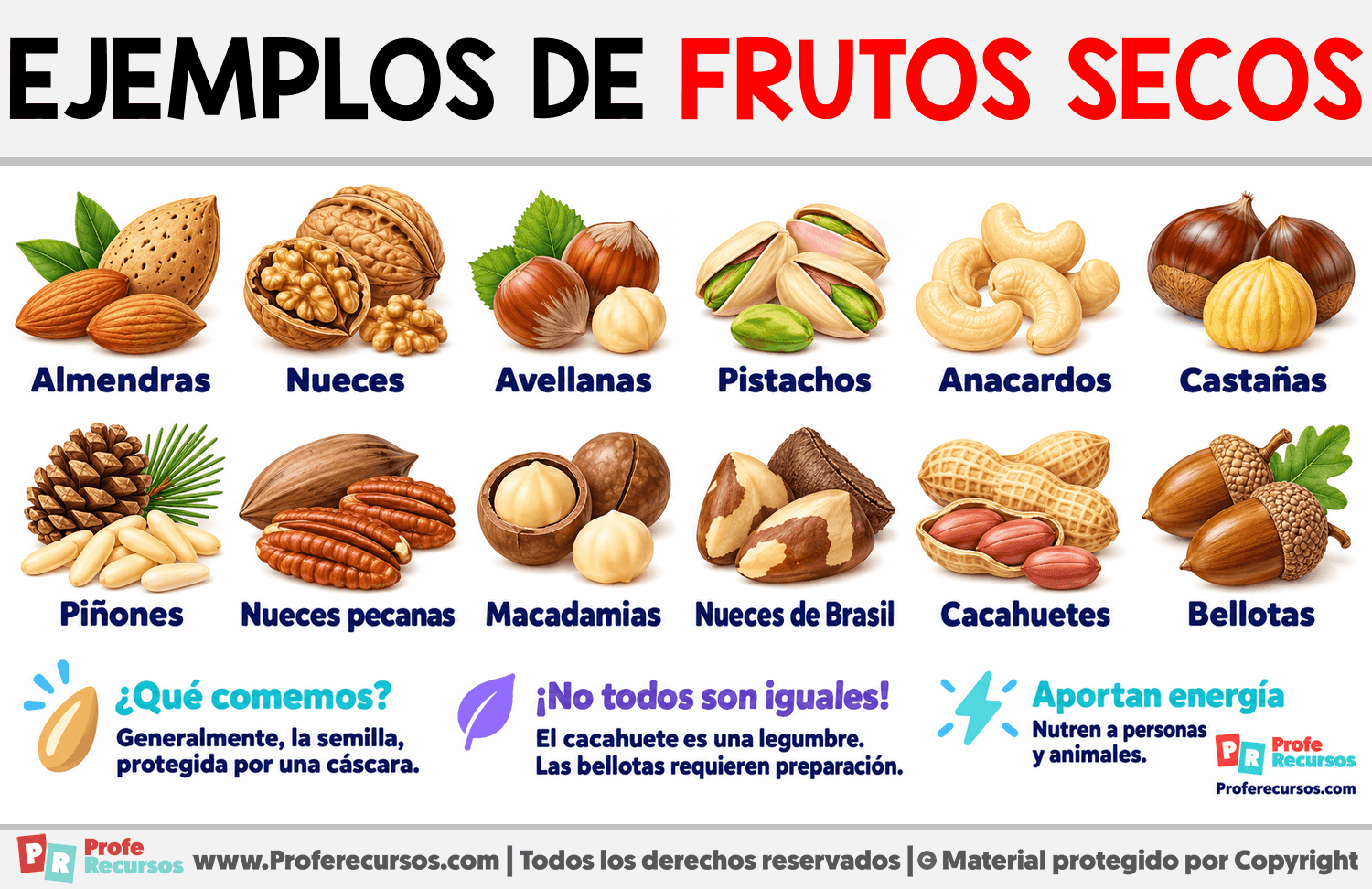 Ejemplos de Frutos Secos Infografia sobre Ejemplos de Frutos Secos