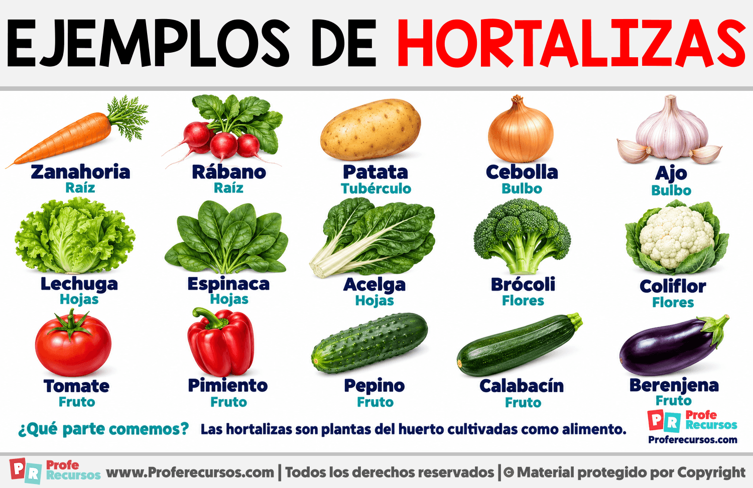 Ejemplos de Hortalizas Infografia sobre Ejemplos de Hortalizas