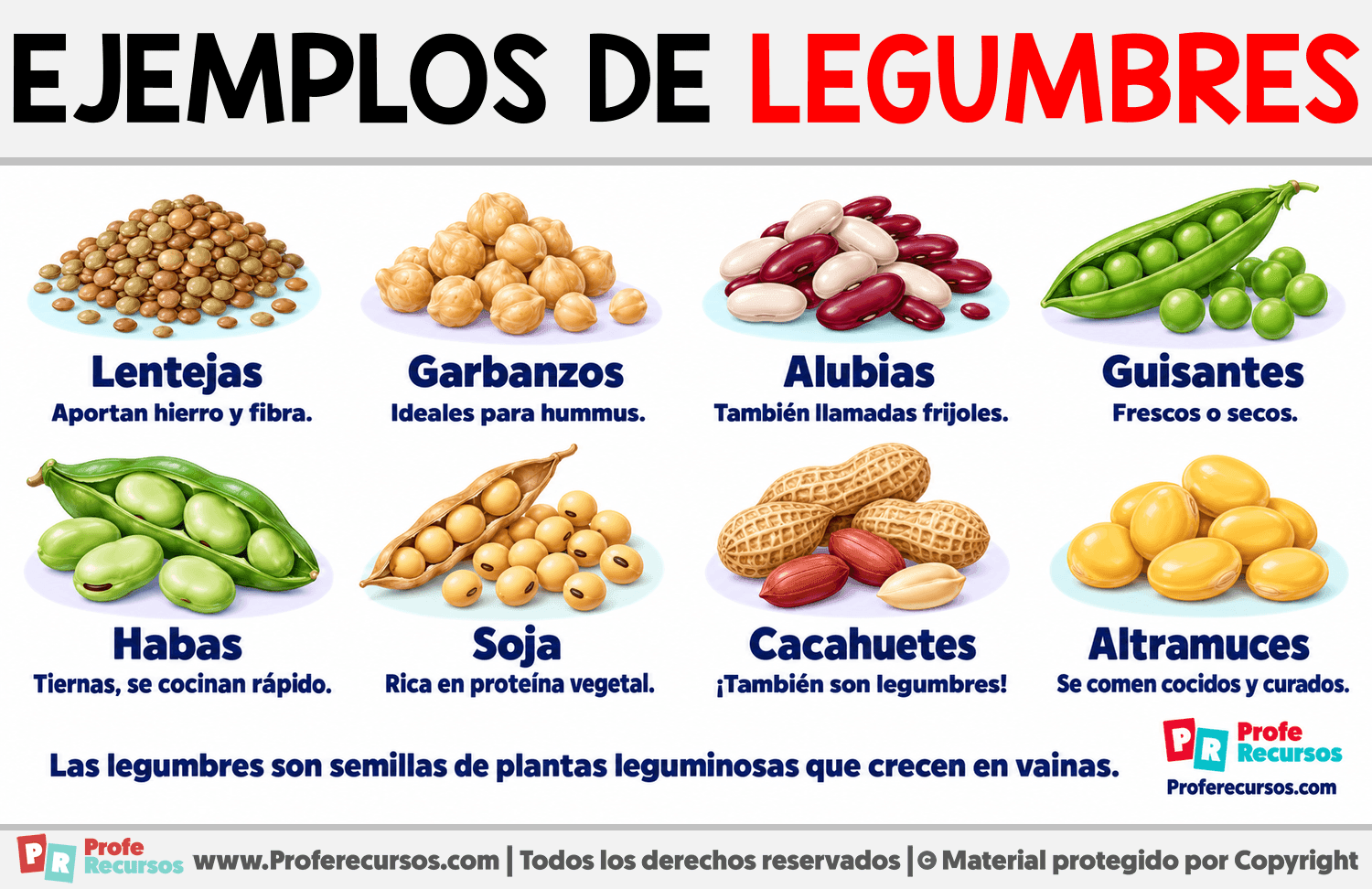 Ejemplos de Legumbres Infografia sobre Ejemplos de Legumbres