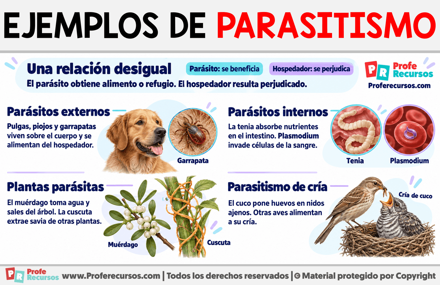 Ejemplos de parasitismo Infografia sobre Ejemplos de parasitismo