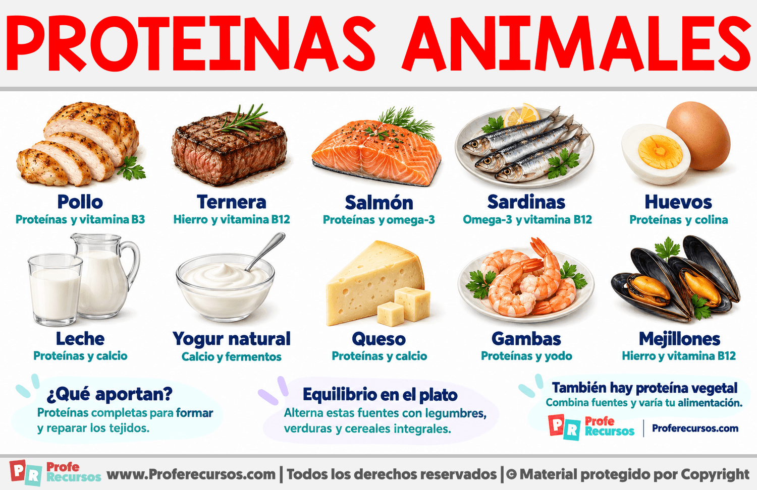Ejemplos de Proteínas Animales Infografia sobre Ejemplos de Proteínas Animales