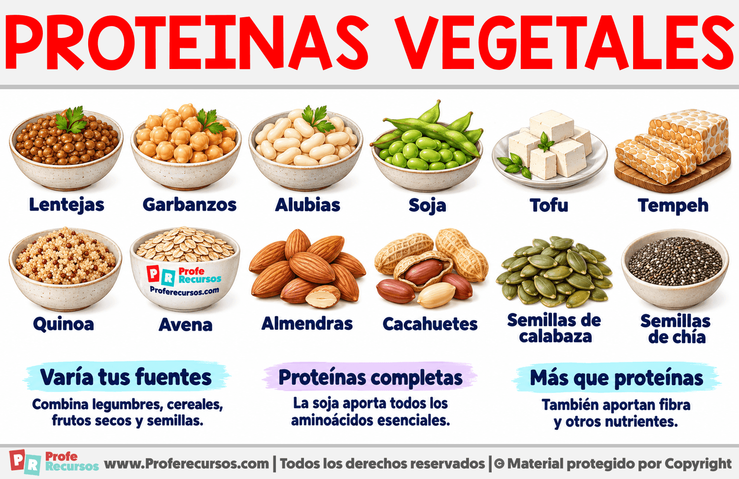 Ejemplos de Proteínas Vegetales Infografia sobre Ejemplos de Proteínas Vegetales