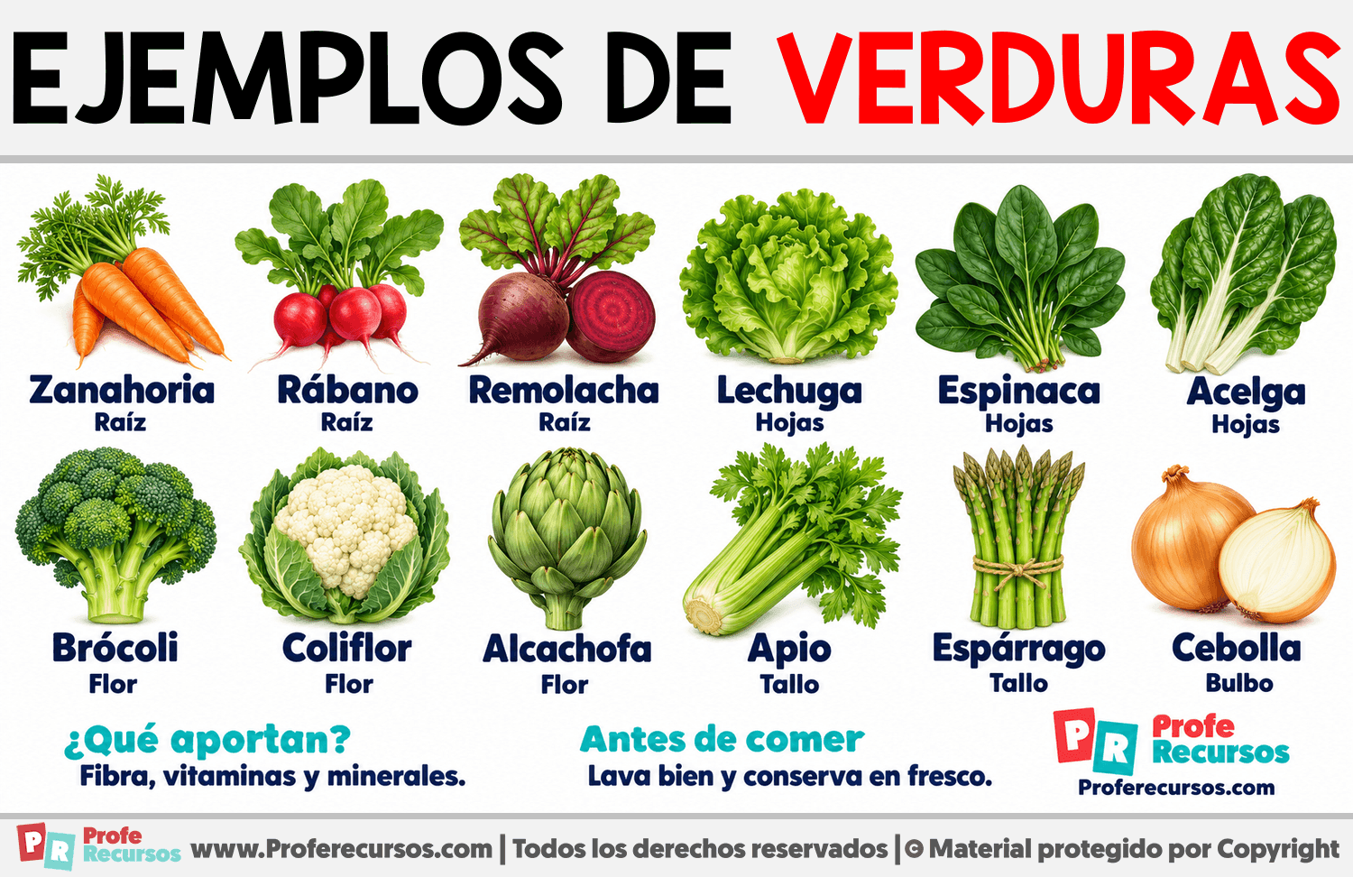 Ejemplos de Verduras Infografia sobre Ejemplos de Verduras