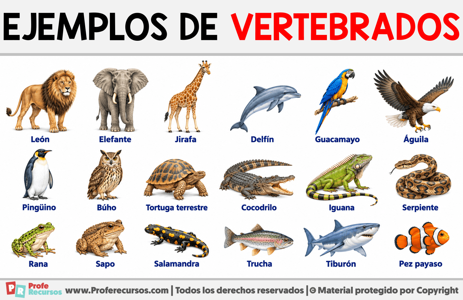 Ejemplos de vertebrados Infografia sobre Ejemplos de vertebrados