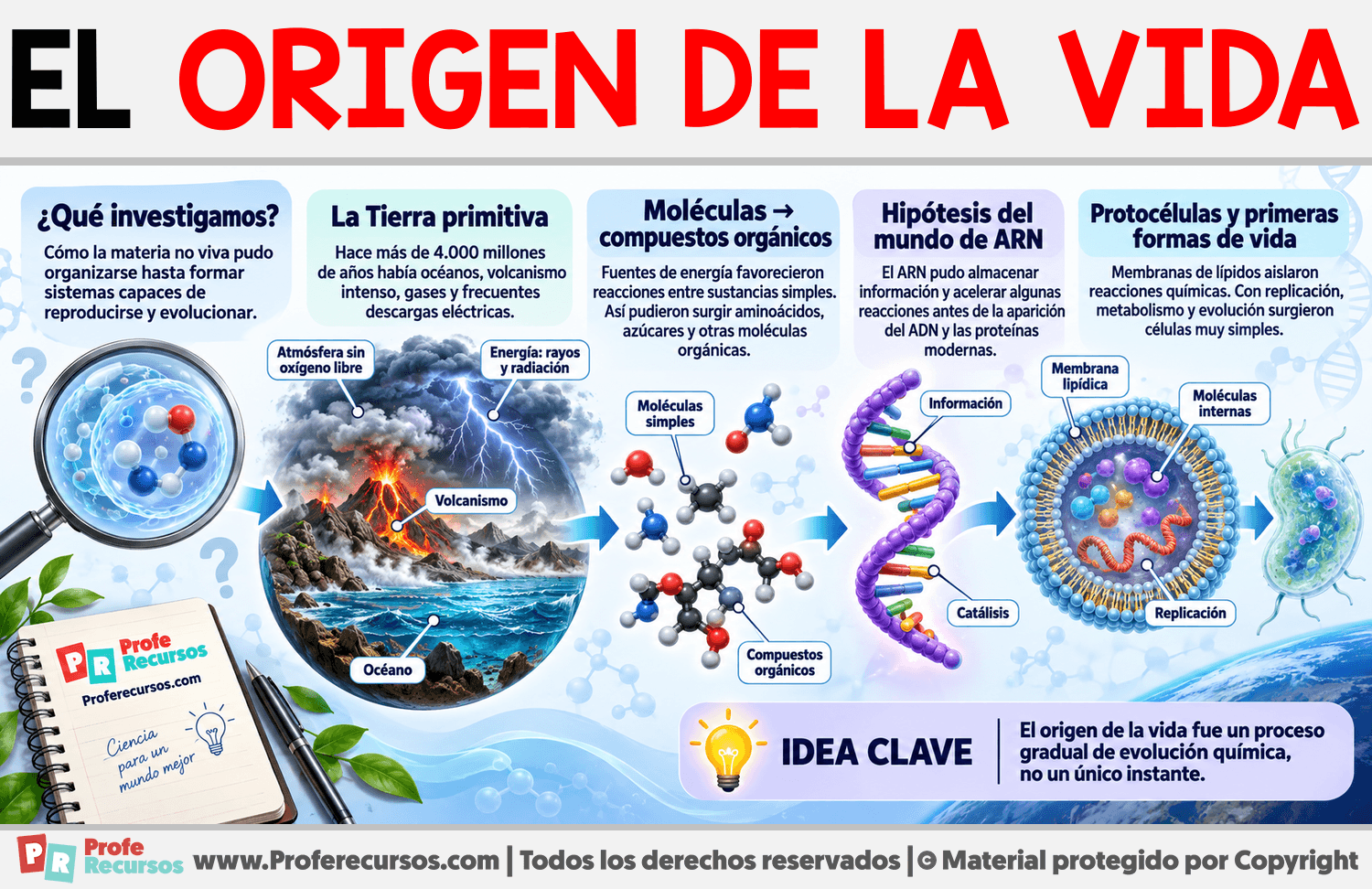 El Origen de la Vida Infografia sobre El Origen de la Vida