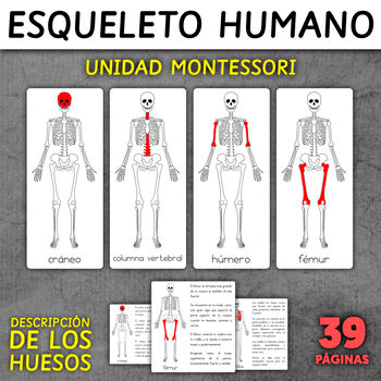 Imagen 1 del recurso de TPT Imagen 1 del recurso de TPT