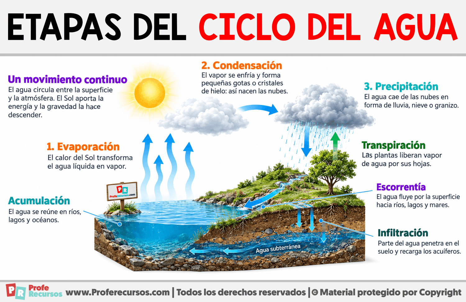 Etapas del ciclo del agua Infografia sobre Etapas del ciclo del agua