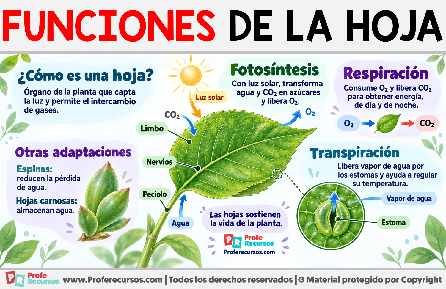 Funciones de la hoja Infografia sobre Funciones de la hoja