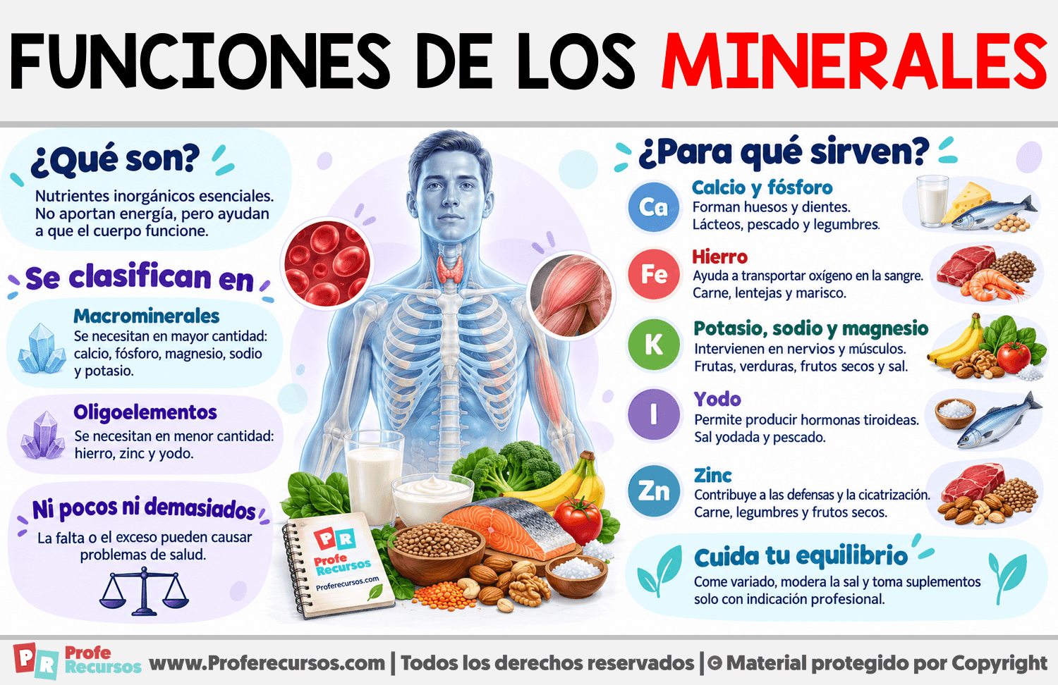 Funciones de los minerales Infografia sobre Funciones de los minerales