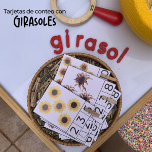 Imagenes girasol3