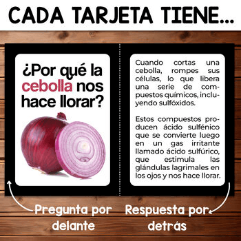 Imagen 4 del recurso de TPT Imagen 4 del recurso de TPT