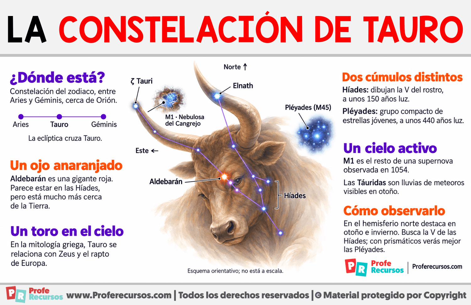 La Constelación de Tauro Infografia sobre La Constelación de Tauro