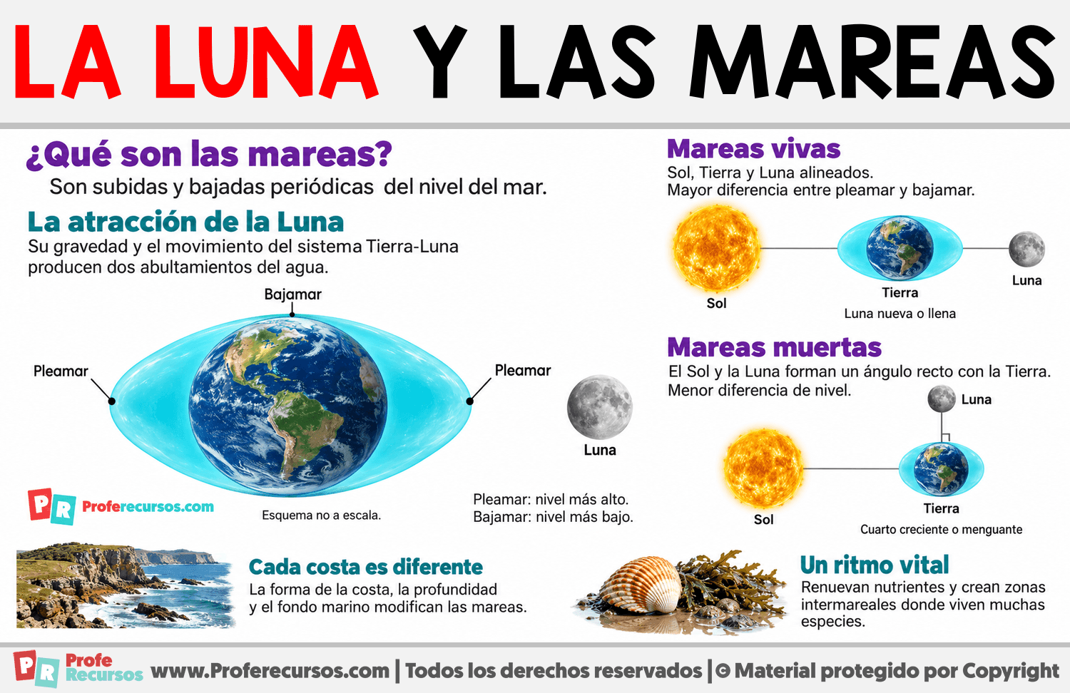 La Luna y las Mareas Infografia sobre La Luna y las Mareas