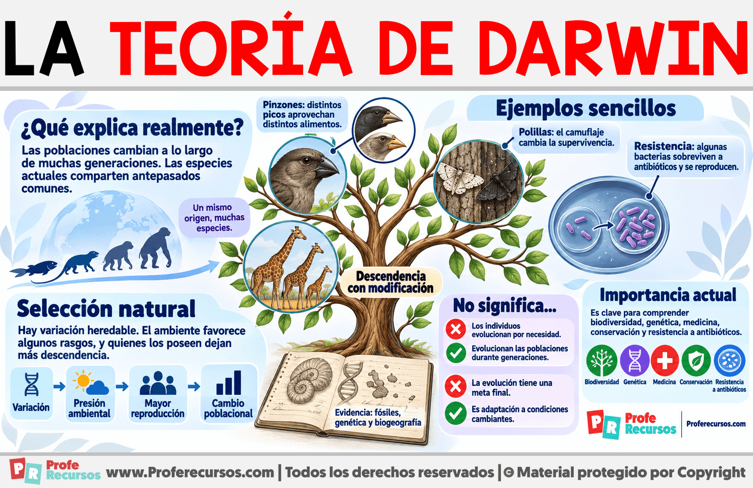 La Teoría de Darwin Infografia sobre La Teoría de Darwin