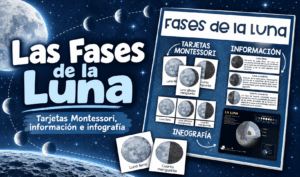 Las Fases de la Luna | Actividad para Clase del Ciclo Lunar
