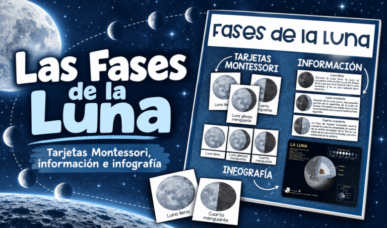 Las Fases de la Luna | Actividad para Clase del Ciclo Lunar