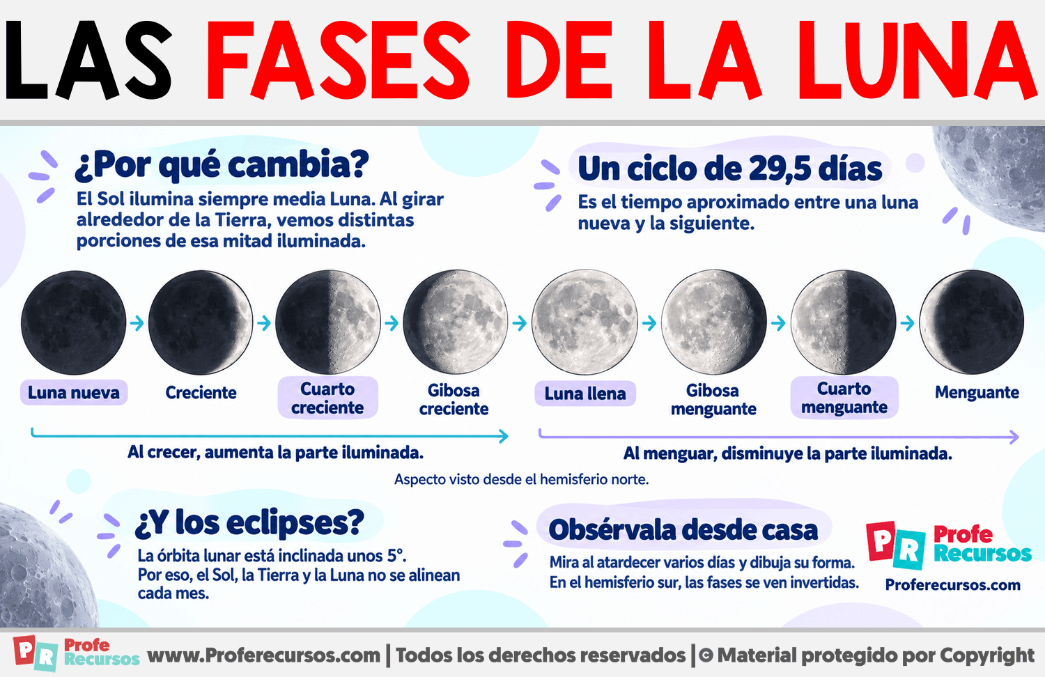 Las Fases de la Luna Infografia sobre Las Fases de la Luna