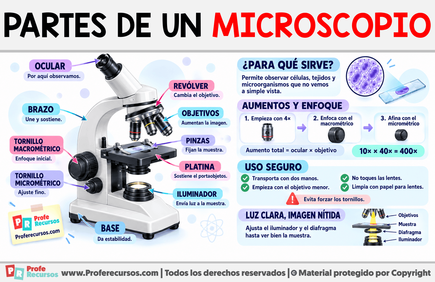 Las partes de un microscopio y su uso Infografia sobre Las partes de un microscopio y su uso