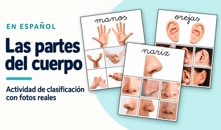 Las partes del cuerpo | Actividad de clasificación con fotos reales para niños