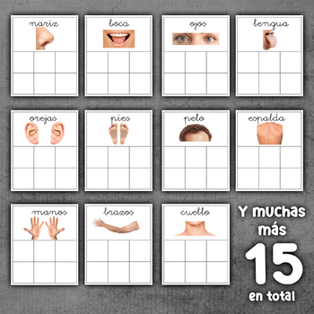 Imagen 2 del recurso de TPT Imagen 2 del recurso de TPT