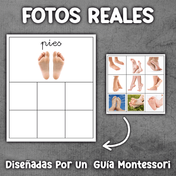 Imagen 4 del recurso de TPT Imagen 4 del recurso de TPT