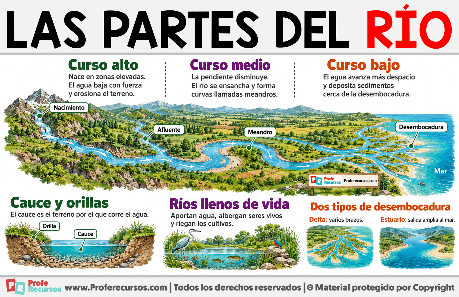 Las Partes del río Infografia sobre Las Partes del río