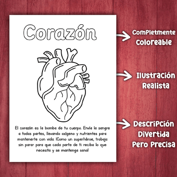 Imagen 3 del recurso de TPT